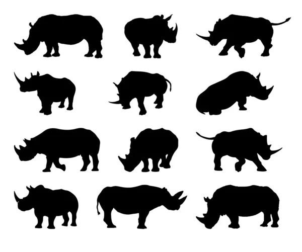 Conjunto de vetores de silhueta de rinoceronte —  Vetores de Stock