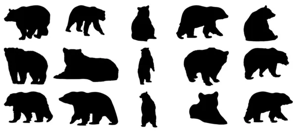 Colección de oso silueta — Vector de stock