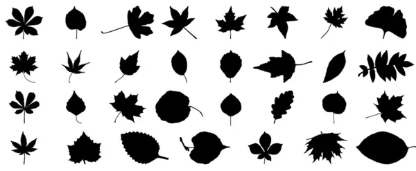 Ensemble de silhouettes de feuilles — Image vectorielle