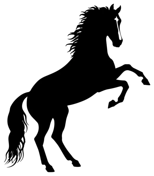 Paard silhouet vector — Stockvector