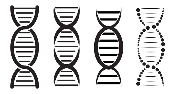 Dnaヘリックスアイコン ゲノム構造のシンボル 白い背景に隔離された黒いシルエットの形 — ストックベクタ