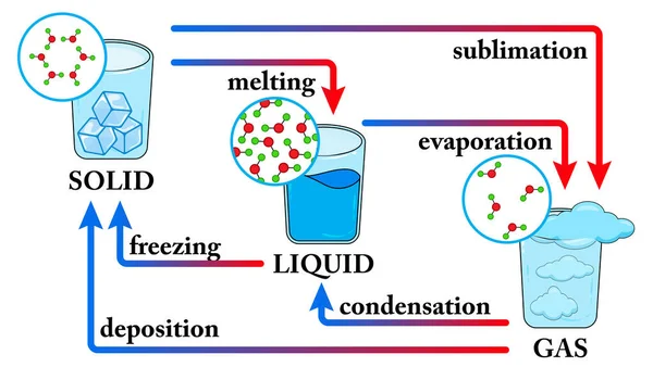 Water States Matter Phase Change State Water Diagram Changing State — Stok Vektör