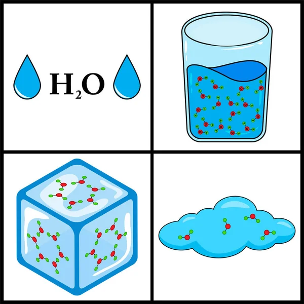 Estados Agua Vector Hielo Líquido Gas — Vector de stock