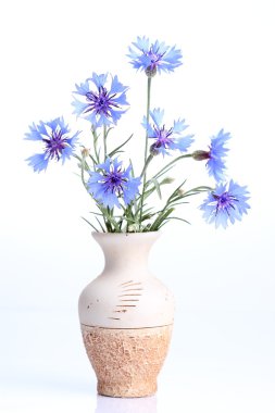 Seramik vazoda Peygamber Çiçeği buket