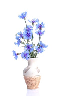 Seramik vazoda Peygamber Çiçeği buket