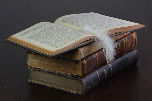 Libros antiguos y plumas blancas — Foto de Stock