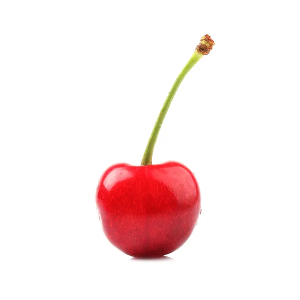 Sweet cherry isolated on white — Stock Photo, Image