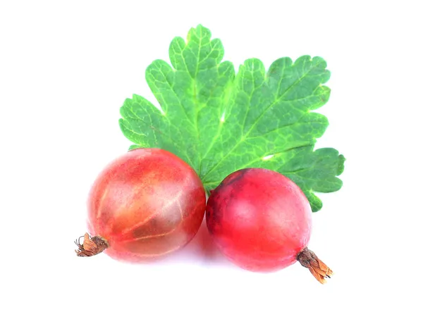 Röda krusbär frukt med leaf isolerad på vit — Stockfoto