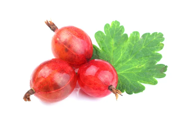 Fruta de groselha vermelha com folha isolada em branco — Fotografia de Stock