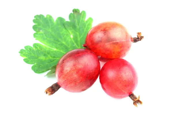 Fruto de grosella roja con hoja aislada sobre blanco — Foto de Stock