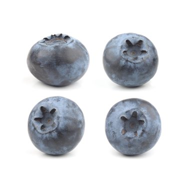 Beyaz arkaplanda yaban mersini izole edilmiş.