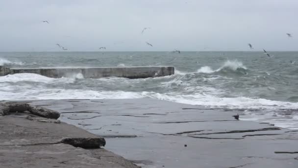 嵐の黒海 1790 hd — ストック動画