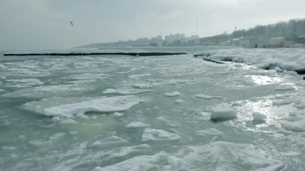Buz denizi — Stok video