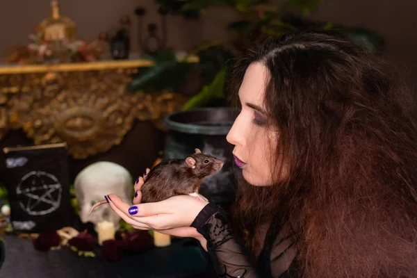 머리가 헝클어진 마녀가 할로윈 — 스톡 사진