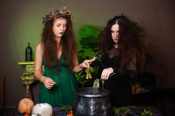 Two Witches Disheveled Hair Brew Magic Potion Black Cauldron Standing — Stock Photo, Image