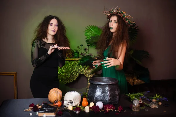 Two Witches Disheveled Hair Brew Magic Potion Black Cauldron Standing — Stockfoto
