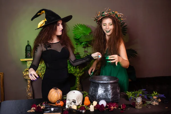 Two Witches Disheveled Hair Brew Magic Potion Black Cauldron Standing — Stock Photo, Image