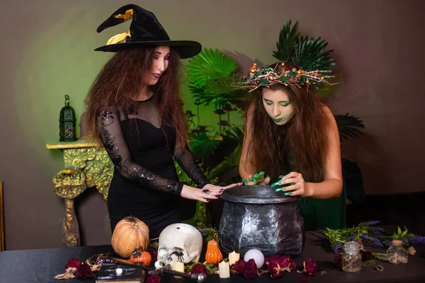 Two Witches Disheveled Hair Brew Magic Potion Black Cauldron Standing — Photo