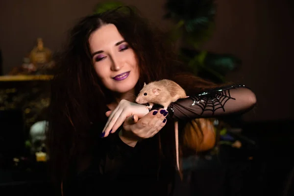 Close White Rat Hands Witch Black Clothes Disheveled Hair Halloween — Fotografia de Stock