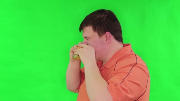 Portrait Fat Guy Eating Big Burger Isolated Green Background Chroma — 비디오