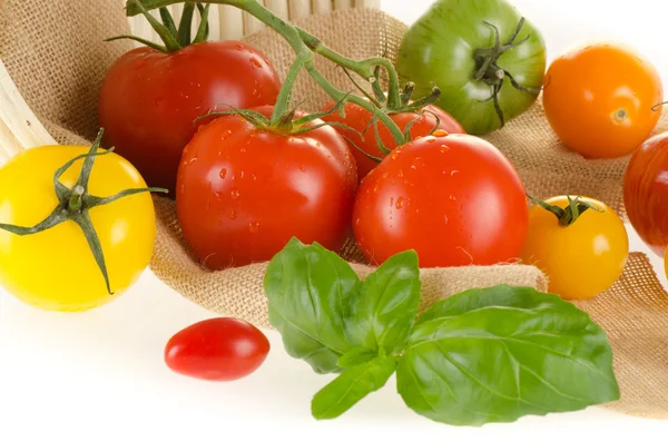 Different types of tomatoes of different colors with basket and sackcloth — Stock Photo, Image