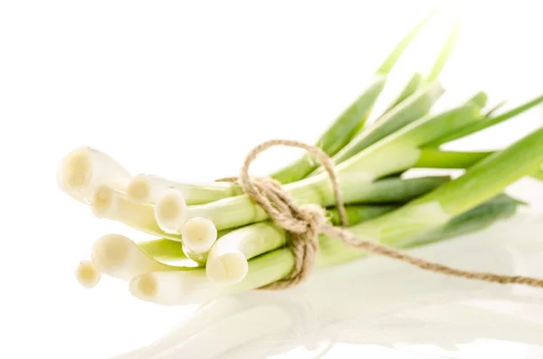 Bunch of spring green onions — Stock Photo, Image