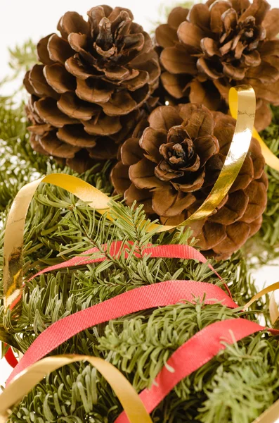 Decoración de Navidad de árbol de piel y conos — Foto de Stock