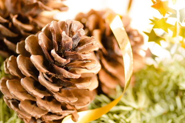 Vánoční dekorace kožešin strom a kužely — Stock fotografie