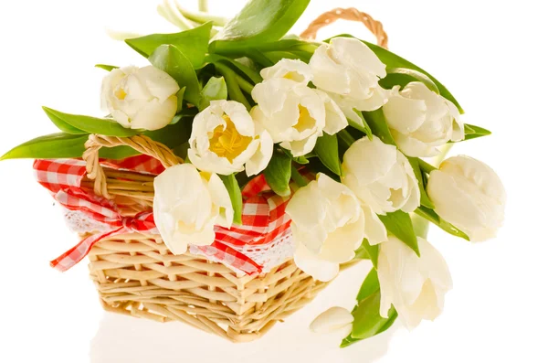 A bunch of beautiful white tulips in the basket isolated on whit — Stock Photo, Image