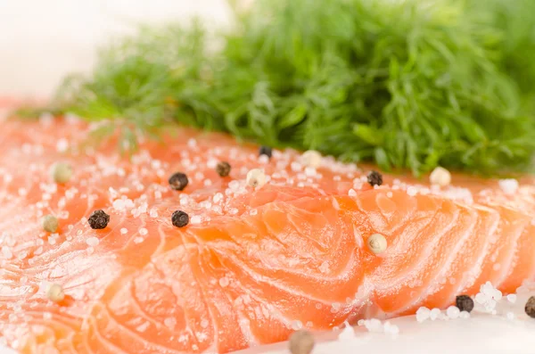 Filete de salmón fresco con especias sobre papel de hornear — Foto de Stock