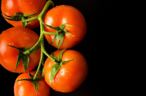 Fresh tomatoes with water drops on a black background — Stock Photo, Image