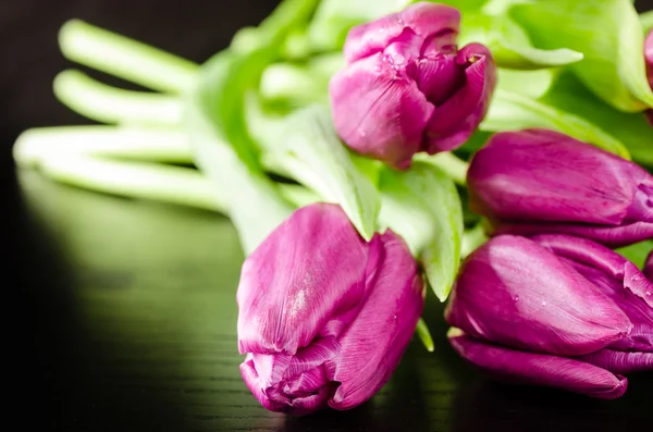 Bunch of purple tulips on dark wooden background — Stock Photo, Image