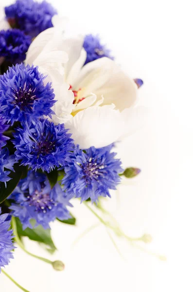 A bouquet of white and blue flowers — Stock Photo, Image