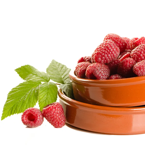 在碗里的新鲜树莓 — 图库照片