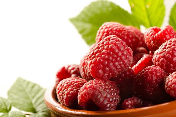 Fresh raspberry in the bowl — Stock Photo, Image