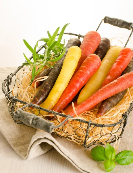 Bunch of colored fresh carrots — Stock Photo, Image