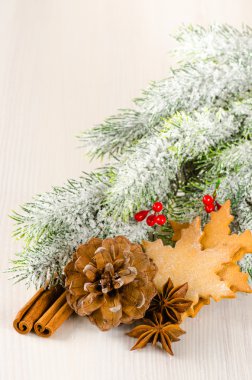 çam ağacı, çam kozalağı, çerezleri Noel kavramı kompozisyon
