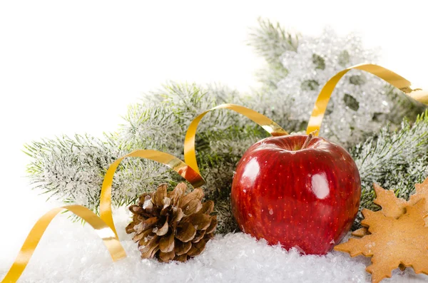 Concepção de Natal fundo com abeto, maçã, especiarias — Fotografia de Stock