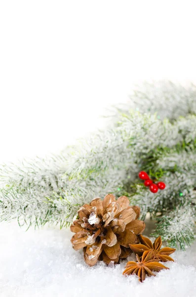 Çam ağacı, çam kozalağı ve baharat ile Noel kavramı kompozisyon Telifsiz Stok Imajlar