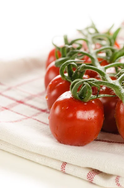 Primer plano de los tomates cherry en la vid —  Fotos de Stock