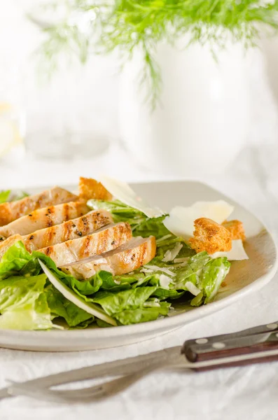 Salada de frango Caesar — Fotografia de Stock