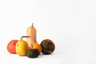 Beyaz arkaplanda farklı türde balkabakları.