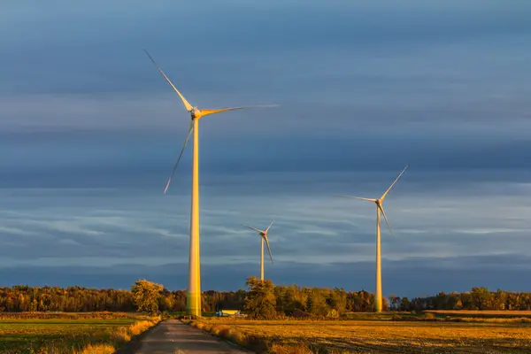 Wind turbine in a field — Stock Photo, Image