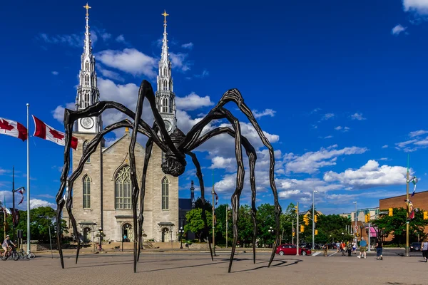 Maman spider sculpture — Stock Photo, Image