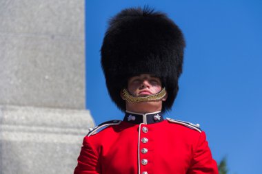 Ceremonial Guard clipart