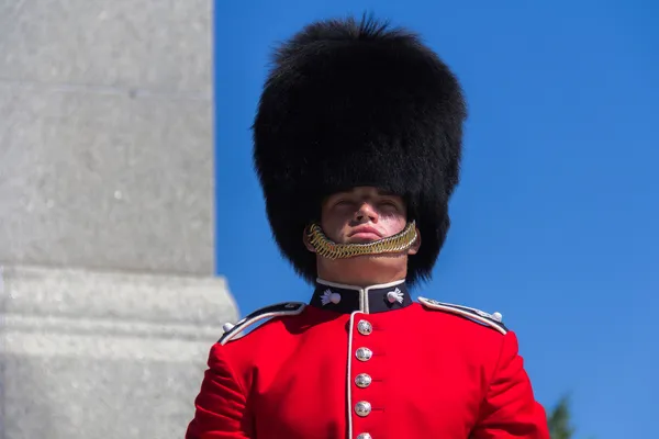 Guardia ceremonial — Foto de Stock