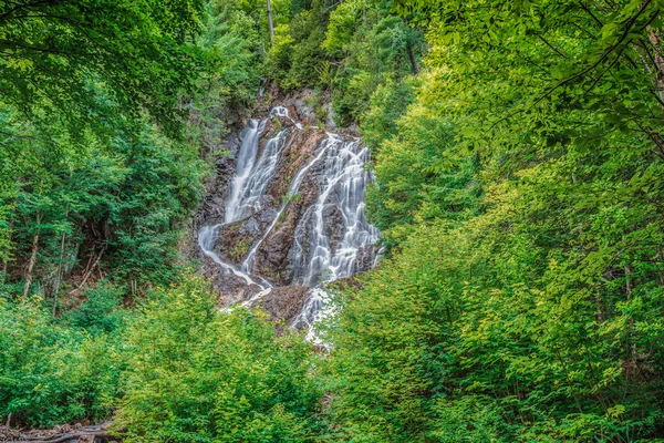 Ein klarer Wasserfall in freier Wildbahn — Stockfoto