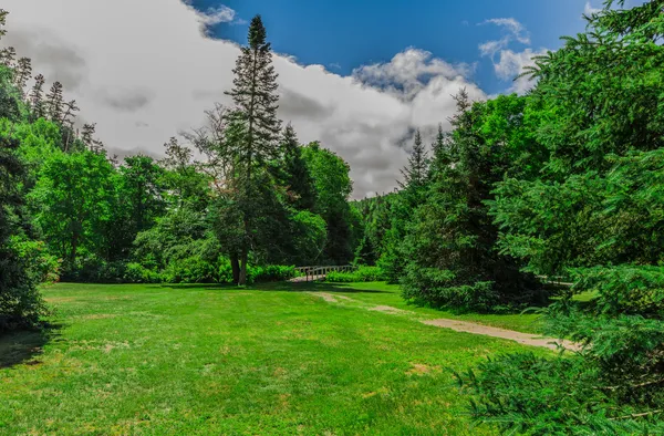 Et smukt landskab af naturen . - Stock-foto