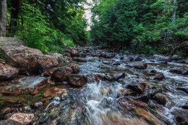 doğanın güzel bir manzara 