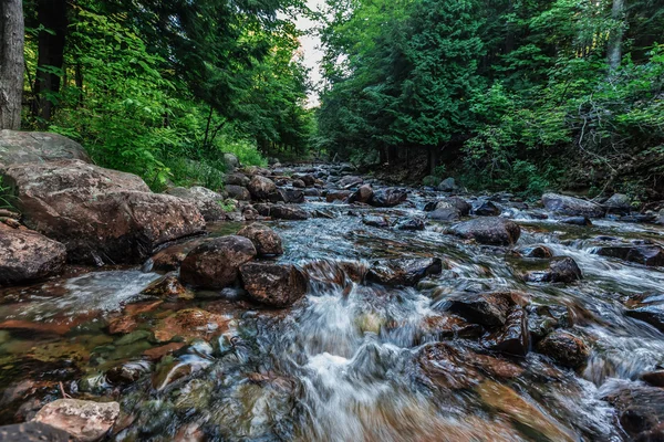 doğanın güzel bir manzara 